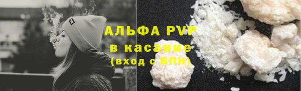 ГАЛЛЮЦИНОГЕННЫЕ ГРИБЫ Каменка