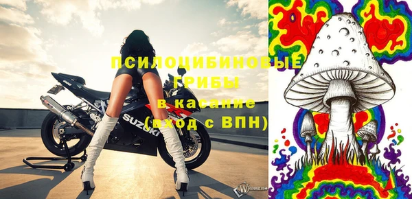 ГАЛЛЮЦИНОГЕННЫЕ ГРИБЫ Каменка
