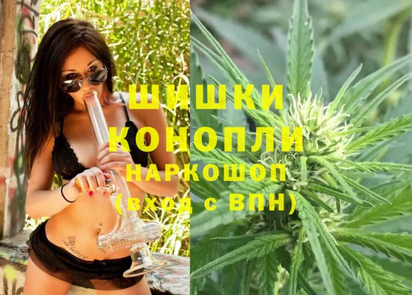 ГАЛЛЮЦИНОГЕННЫЕ ГРИБЫ Иннополис