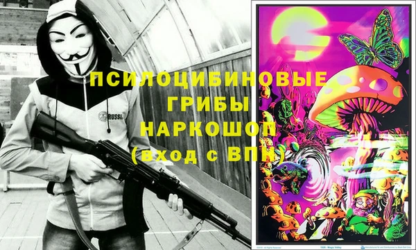 мескалин Инта