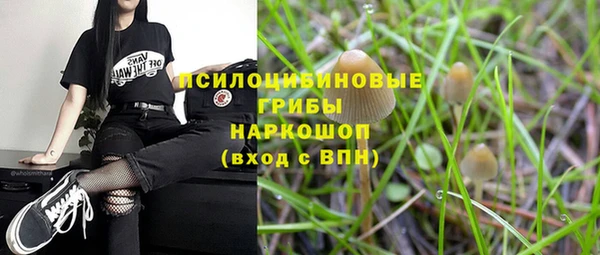 ГАЛЛЮЦИНОГЕННЫЕ ГРИБЫ Каменка